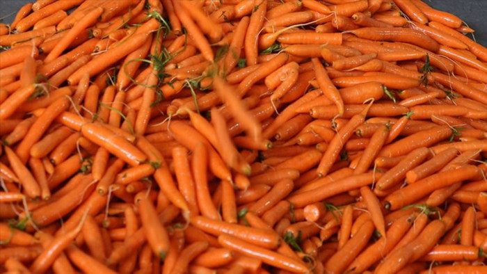 Havucun besin değerini yok eden hata!