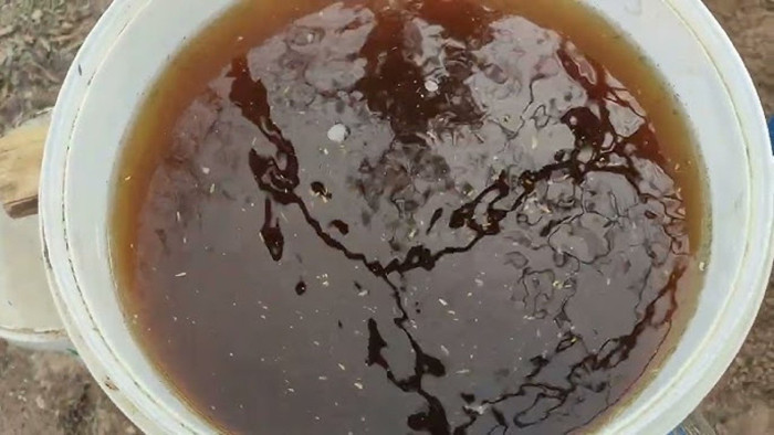 Kekik Çayına Lezzet Katan Küçük Sır