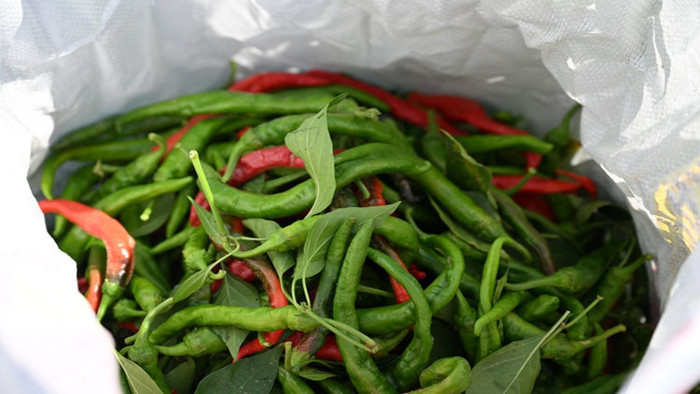 Acı Biber mi Tatlı Biber mi?