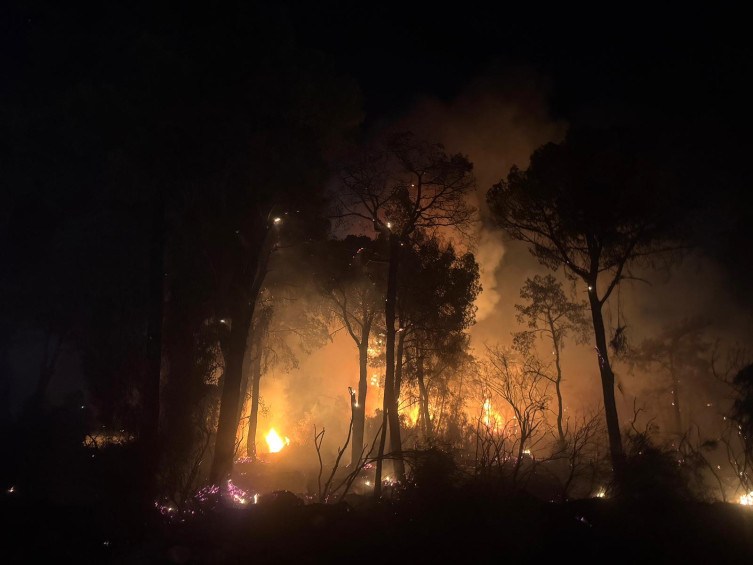 Antalya'da korkutan orman yangını!