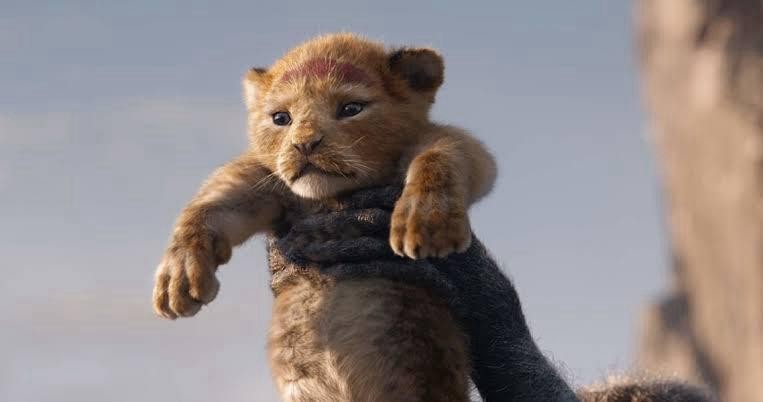 Meğer ‘Aslan Kral’ filmi bize ne güzel şeyler anlatmış… - Resim : 3