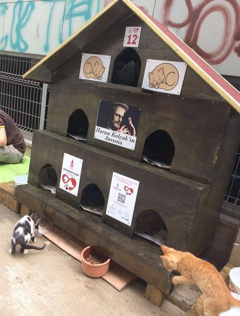 Harun Kolçak'ın vasiyeti gerçekleşti