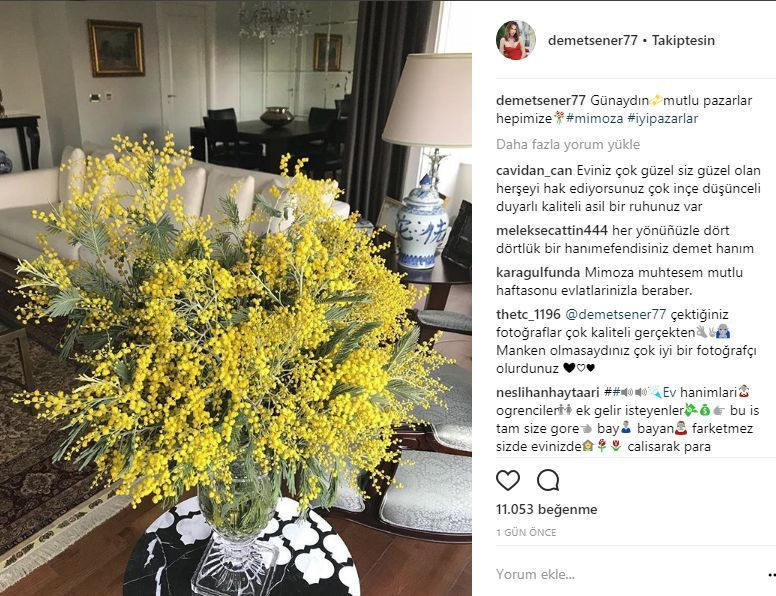 Demet Şener ile öteki kadın davası açtığı Edvina Sponza’nın merak uyandıran piştisi - Resim : 2