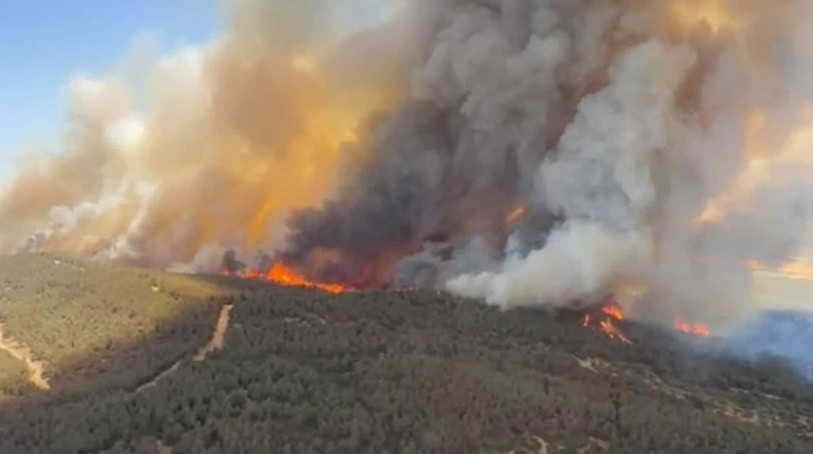 Türkiye alev alev! İzmir'de alevler büyüdü, tahliyeler başladı