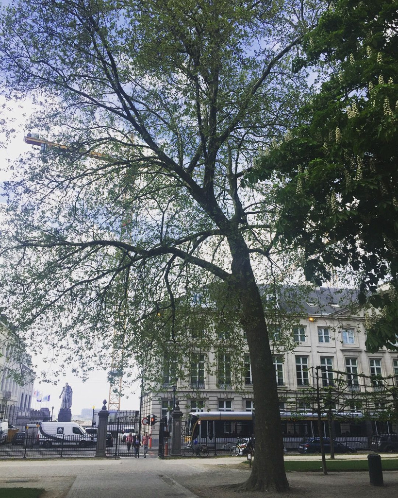 Kuzey’in sahici ruhu: Brüksel - Resim : 6