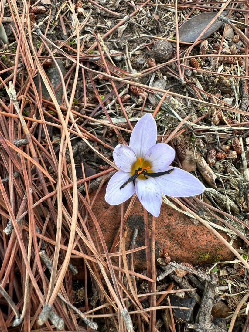 Bunu yapan yandı! Cezası 557 bin 212 TL...