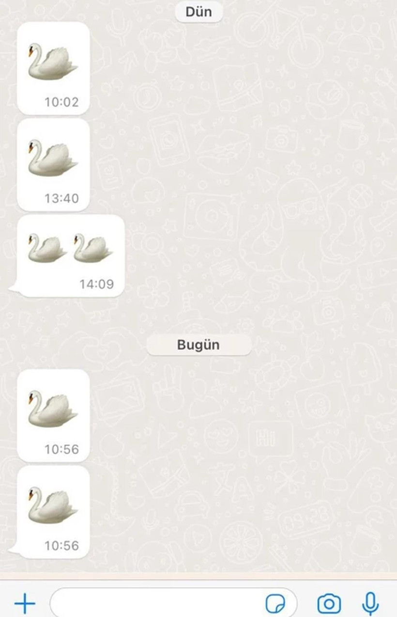 Bolu'da doktorlara rüşvet soruşturmasında yeni gelişme: Parola "kuğu emojisi"ymiş - Resim : 2