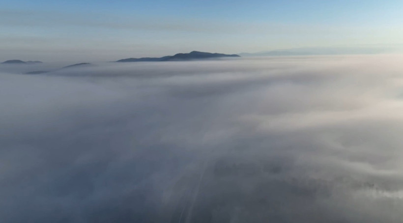 Gökyüzünü duman kapladı! Bursa'daki yangının boyutu gün ağarınca ortaya çıktı