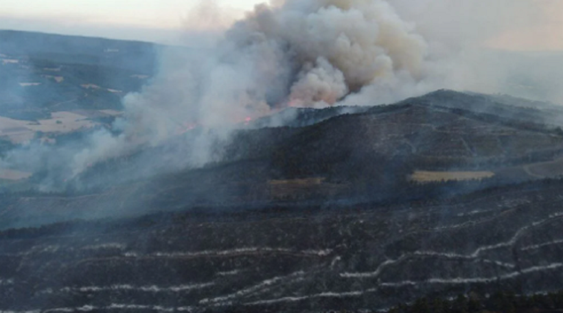 Türkiye'nin ciğerleri yanıyor! İşte yangınlarda son durum