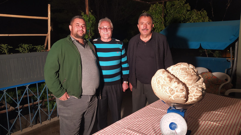 Gören gözlerine inanamadı! Sivas'ta devasa mantar. Ağırlığı 8 kilogram...