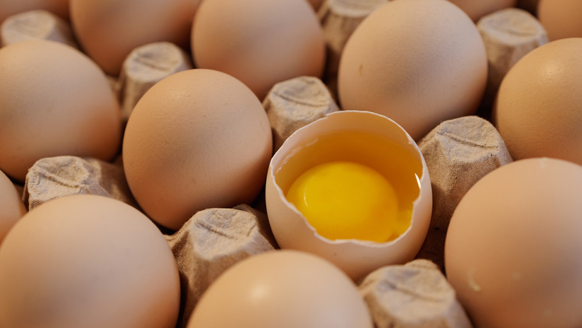 Çatlamış yumurtayı geri koyuyorsanız bu uyarı sizin için!