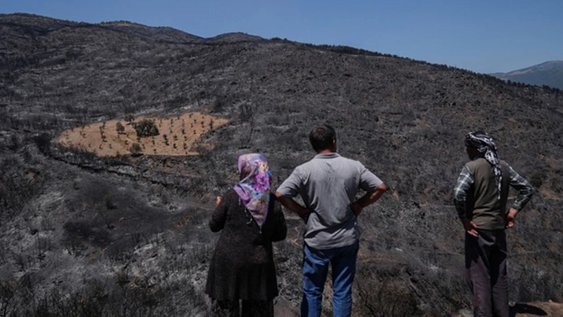 Etrafındaki araziler kül oldu! Bir tek orası yangından etkilenmedi! Sırrını açıkladı: "Emeğimin karşılığını aldım"