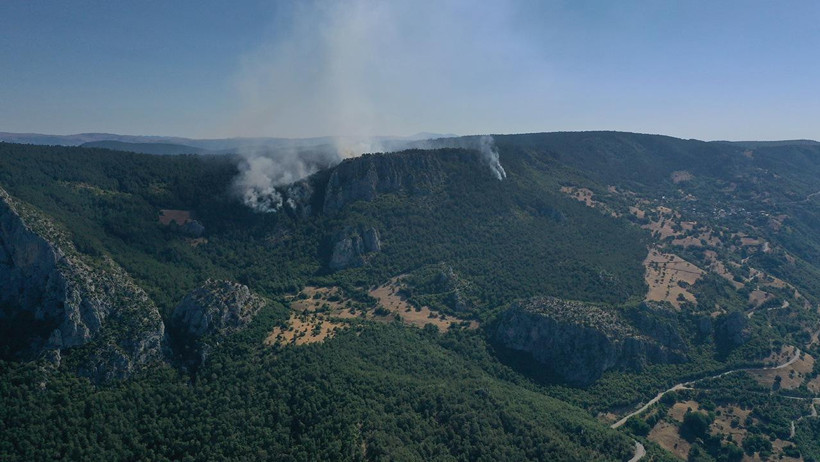 Sinop'ta orman yangını: 100 haneli köy boşaltıldı