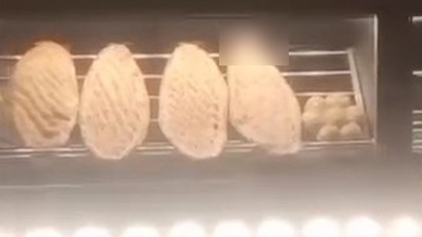 Elazığ'da skandal görüntü! Ekmeklerin üstünde gezerken görüntülendi