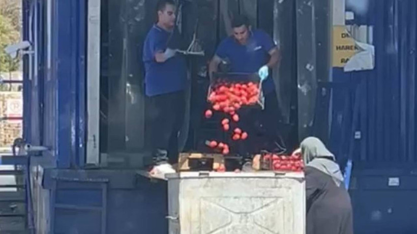 Zincir markette kasalar dolusu domates çöpe döküldü: Yaşlı kadın topladı! O görüntüler tepki çekti