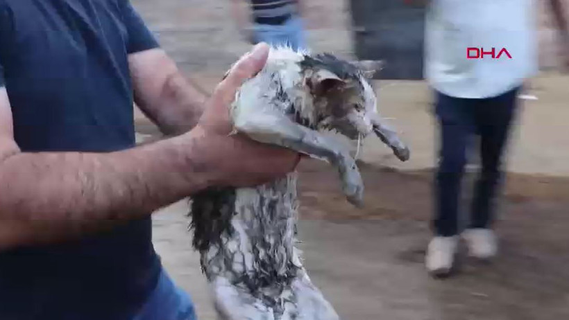 Alevlerin arasında canını hiçe saydı! Kahramanlığı göz doldurdu…