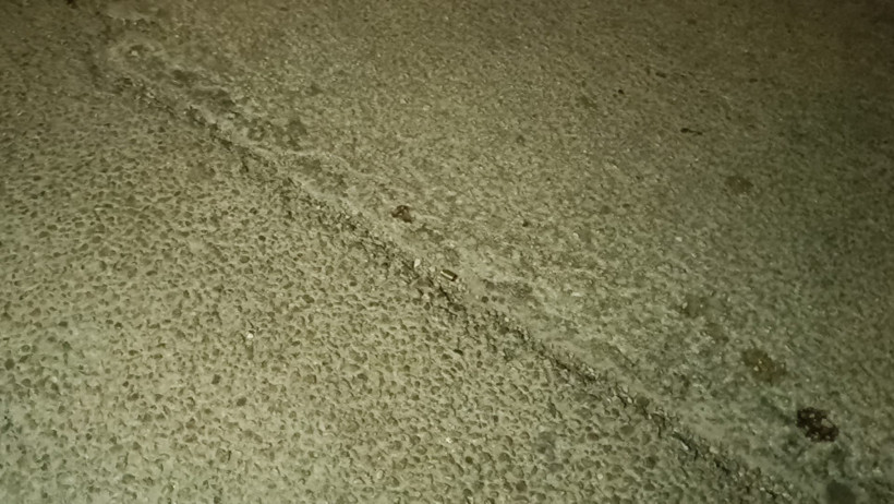 Adana'da düğün gecesi kabusa döndü!