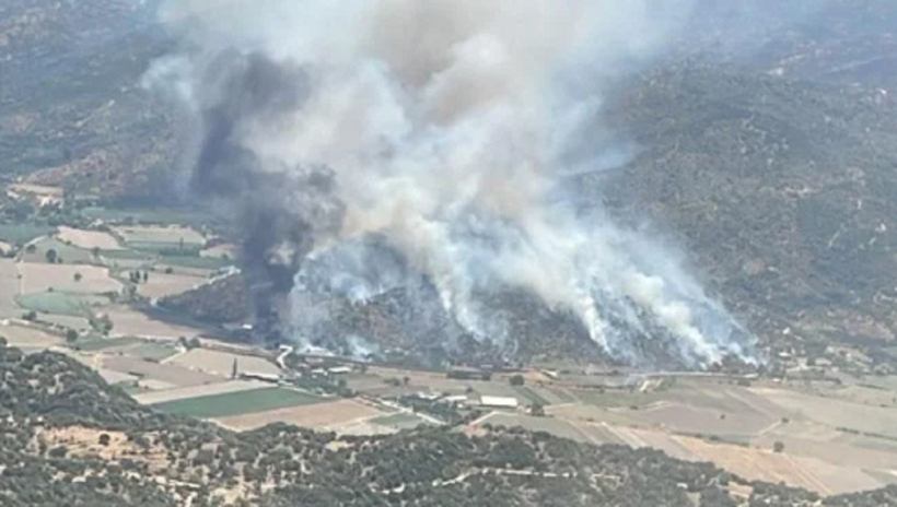 Edirne, Aydın ve Manisa'da orman yangını! Müdahale sürüyor