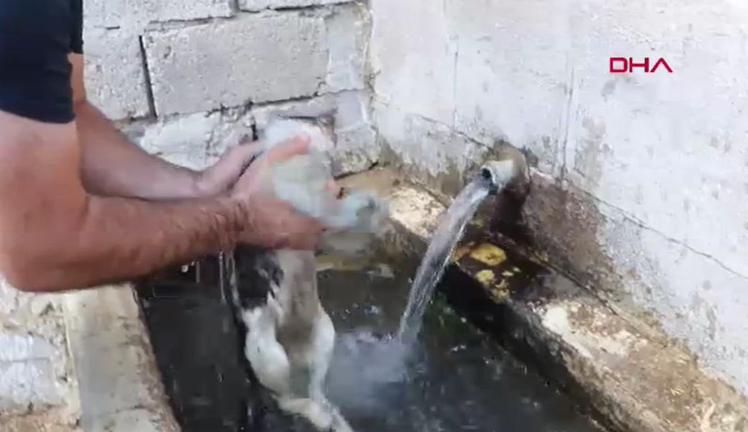 Alevlerin arasında canını hiçe saydı! Kahramanlığı göz doldurdu… - Resim : 2