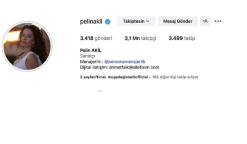 Pelin Akil'den ayrılık açıklaması sonrası dikkat çeken hamle