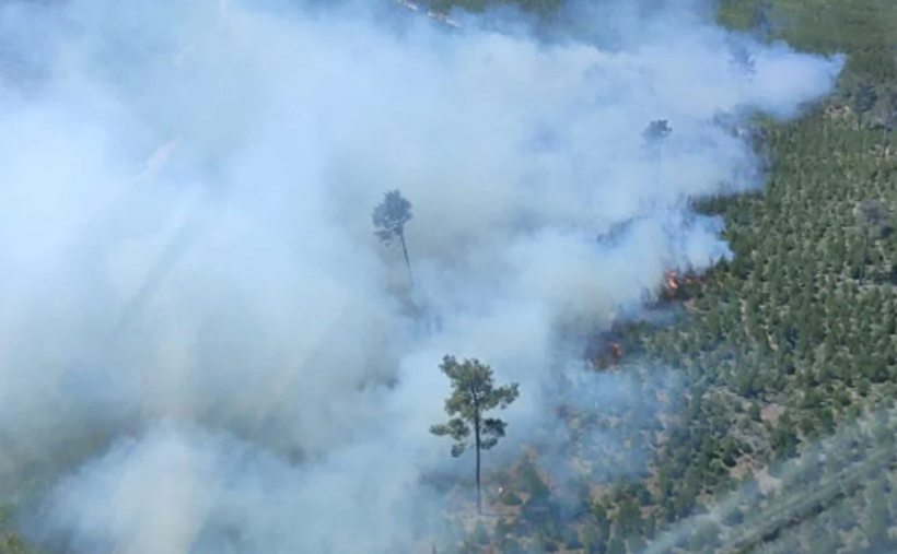 Edirne, Aydın ve Manisa'da orman yangını! Müdahale sürüyor - Resim : 2