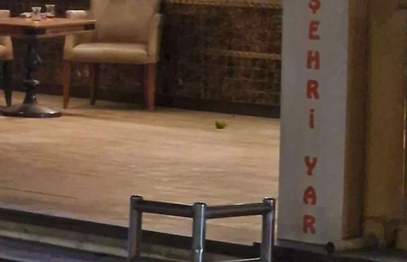 Adana'da şok eden olay! Pastaneye atıp kaçtığı el bombası panik yarattı - Resim : 2