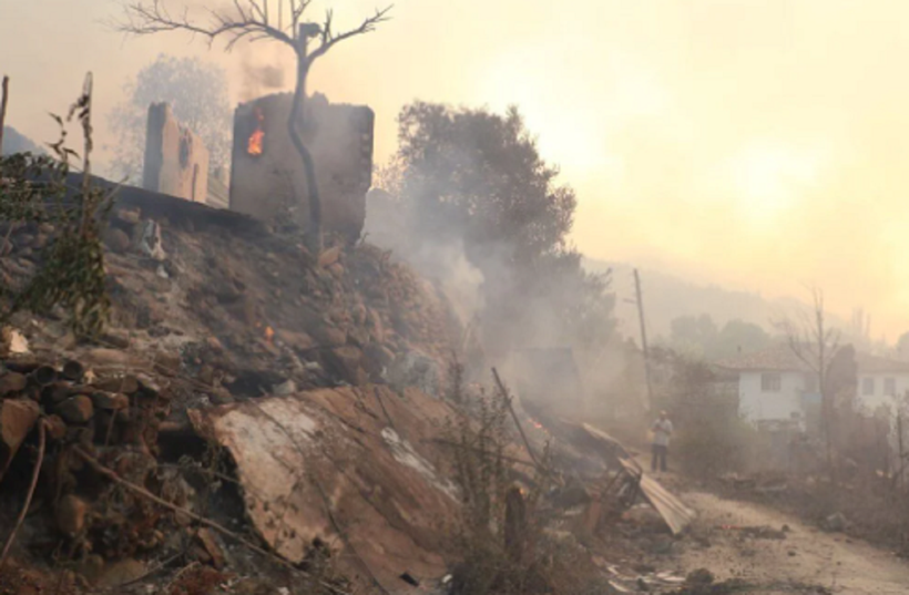 Türkiye'nin ciğerleri yanıyor! İşte yangınlarda son durum - Resim : 2
