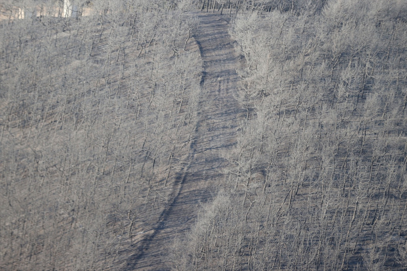 Tekirdağ'daki orman yangınında son durum! Geniş bir alan küle döndü - Resim : 2