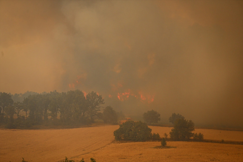 Sakarya'daki orman yangını Bilecik'e sıçradı! Ciğerlerimiz yanıyor. Bakan Yumaklı'dan açıklama - Resim : 2