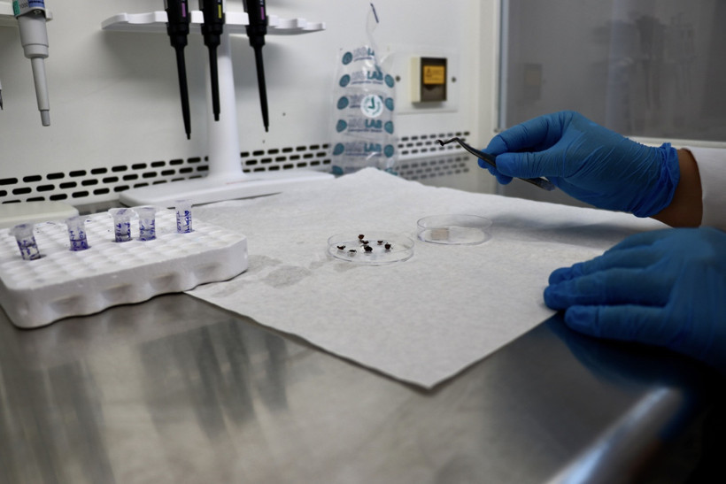 Türkiye'de kene kaynaklı hastalıkların risk haritası oluşturuluyor