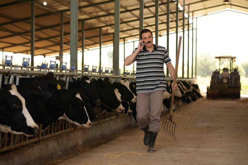 Kalk Gidelim setinde hayvanlardan muhteşem oyunculuk performansı