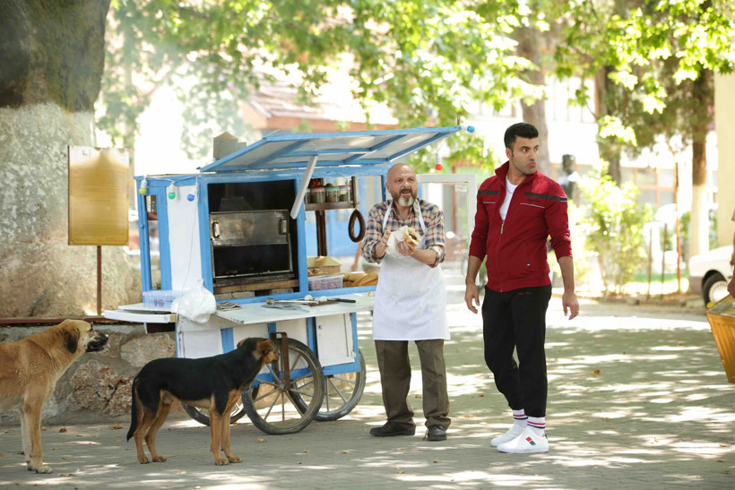 Kalk Gidelim setinde hayvanlardan muhteşem oyunculuk performansı - Resim : 4