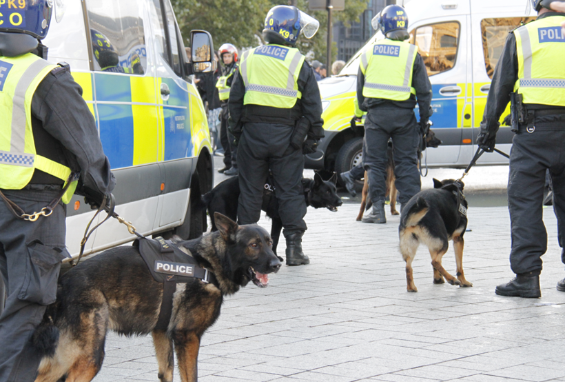 Londra'daki protesto ortalığı karıştırdı! Çok sayıda polis yaralandı… - Resim : 4