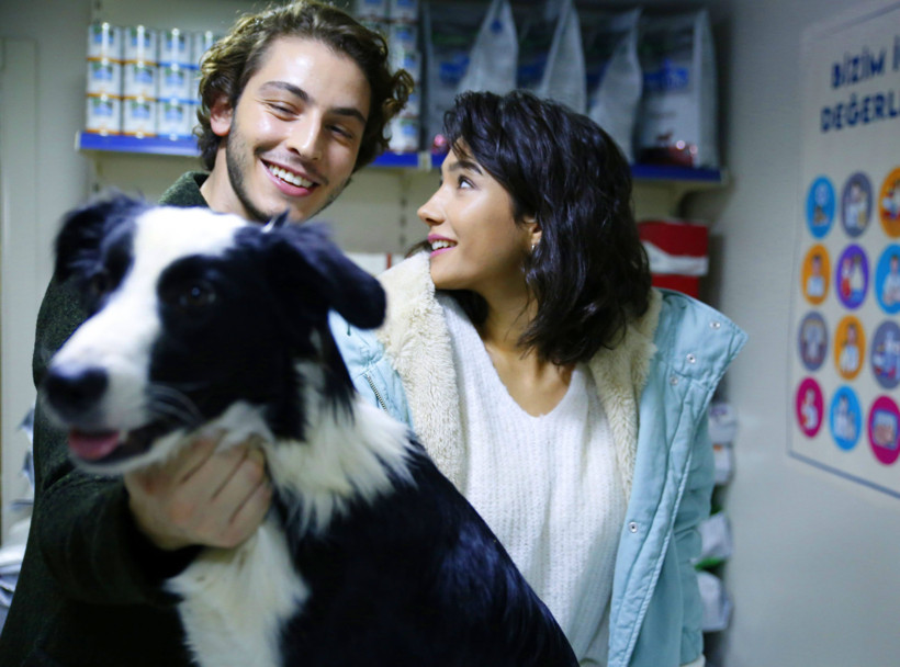 Boran Kuzum ve Aybüke Pusat, sokak hayvanlarına dikkat çekecek! - Resim : 2