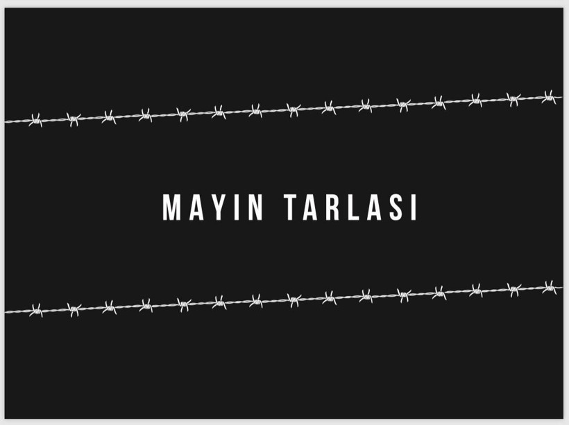 Böcek Film ve T Company'den iddialı bir dizi projesi geliyor!