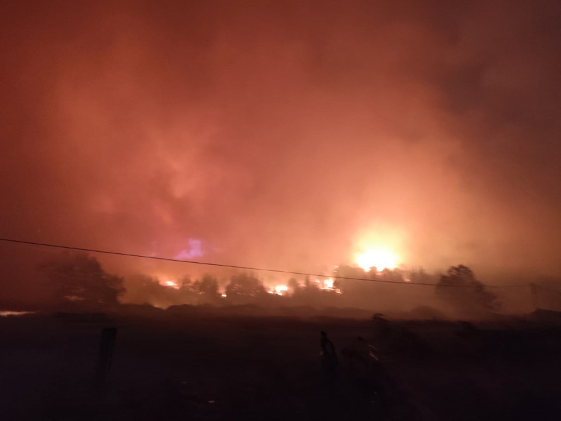 Bursa'da korkutan orman yangını!