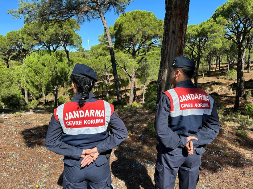 Bunu yapan yandı! Cezası 557 bin 212 TL... - Resim : 2