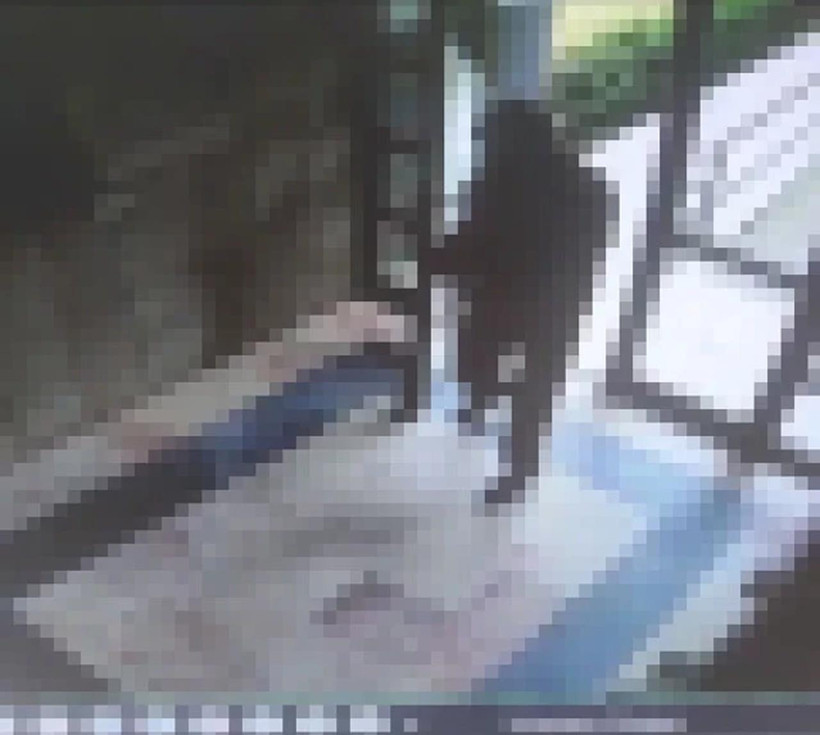 Tadilat için geldiği sitede "Cezve"yi katletmişti! Bakan duyurdu: O cani yakalandı - Resim : 2