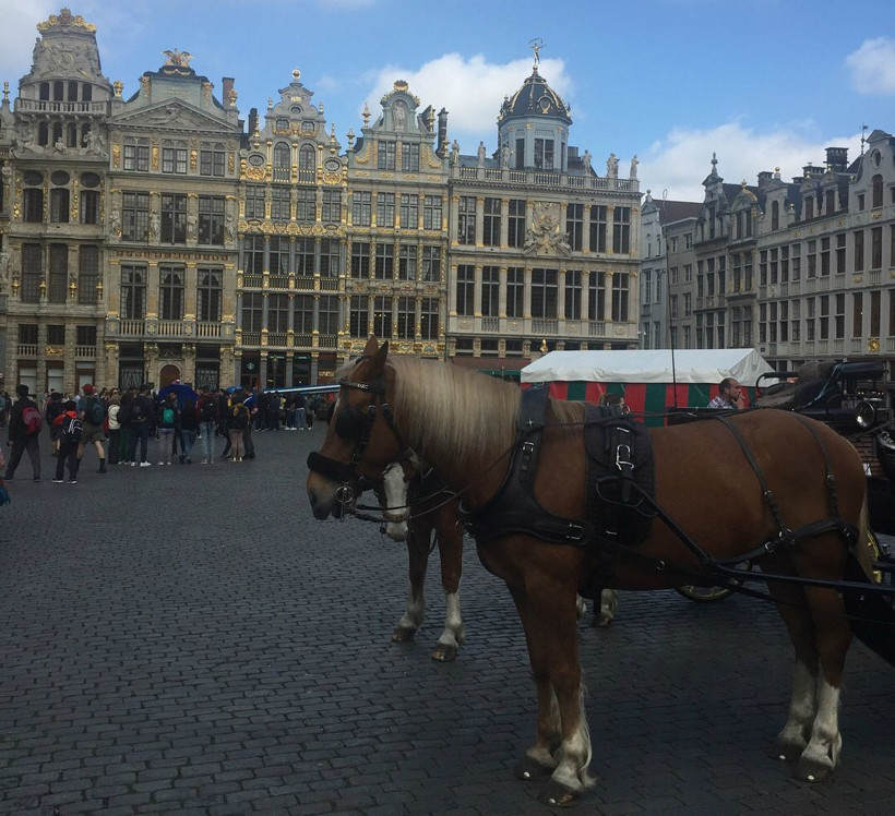 Kuzey’in sahici ruhu: Brüksel - Resim : 7