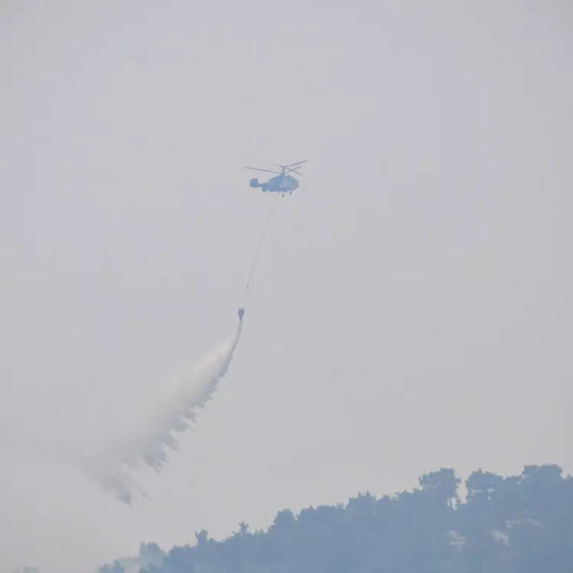 4 ilde orman yangınlarıyla mücadele sürüyor! İşte son durum