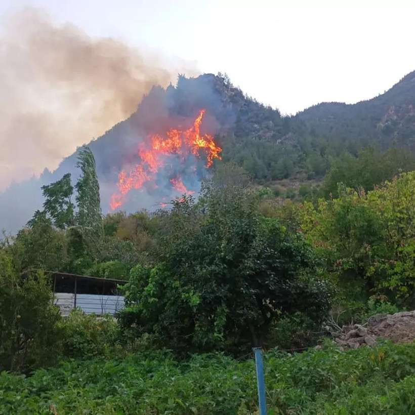 4 ilde orman yangınlarıyla mücadele sürüyor! İşte son durum - Resim : 4