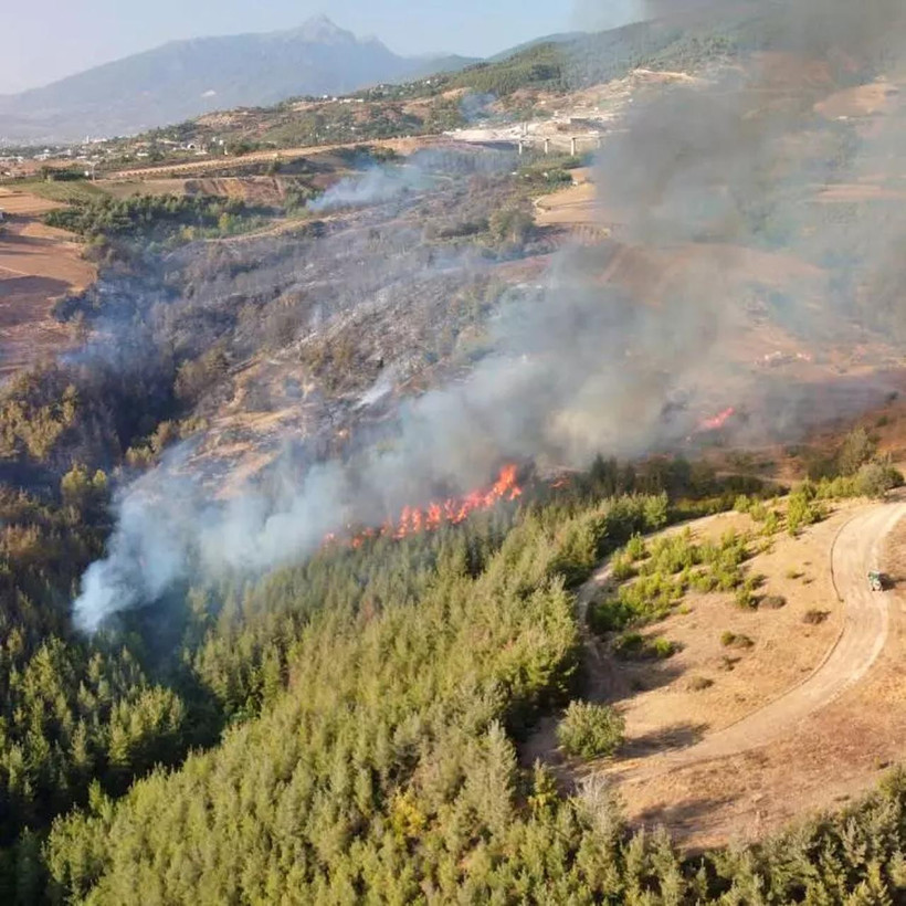 4 ilde orman yangınlarıyla mücadele sürüyor! İşte son durum - Resim : 6