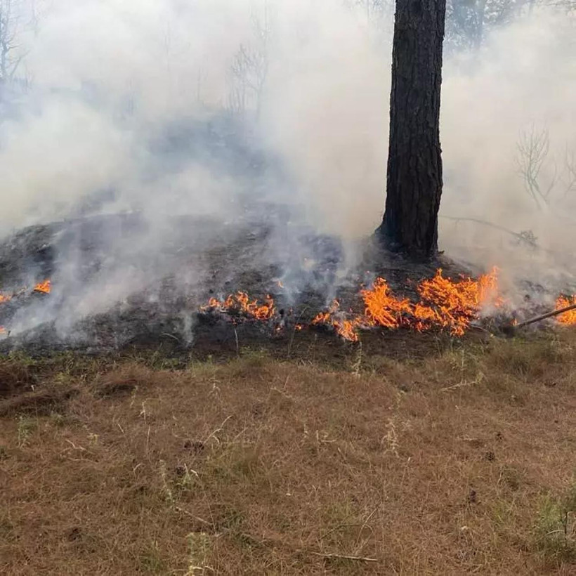 4 ilde orman yangınlarıyla mücadele sürüyor! İşte son durum - Resim : 7