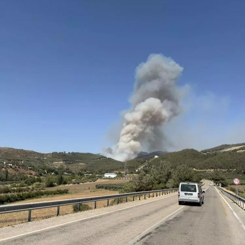 4 ilde orman yangınlarıyla mücadele sürüyor! İşte son durum - Resim : 8