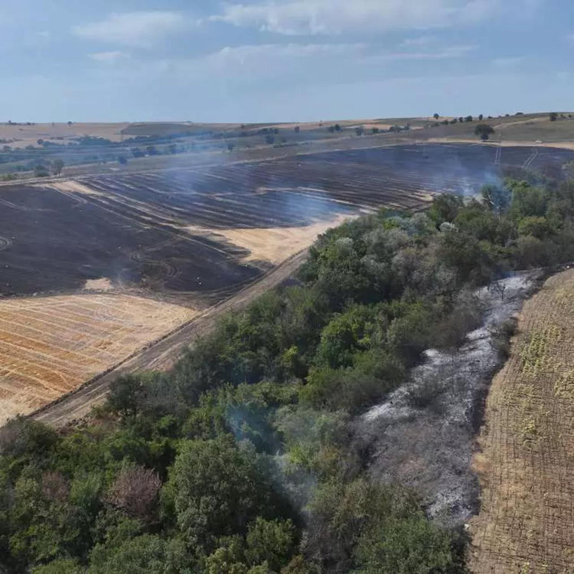 4 ilde orman yangınlarıyla mücadele sürüyor! İşte son durum - Resim : 10